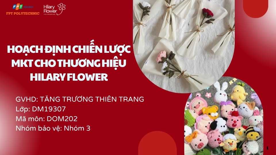 SLIDE HOẠCH ĐỊNH CHIẾN LƯỢC MẪU 1