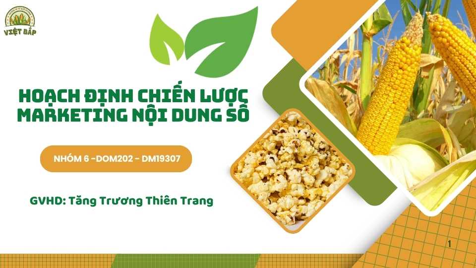 SLIDE HOẠCH ĐỊNH CHIẾN LƯỢC MẪU 2